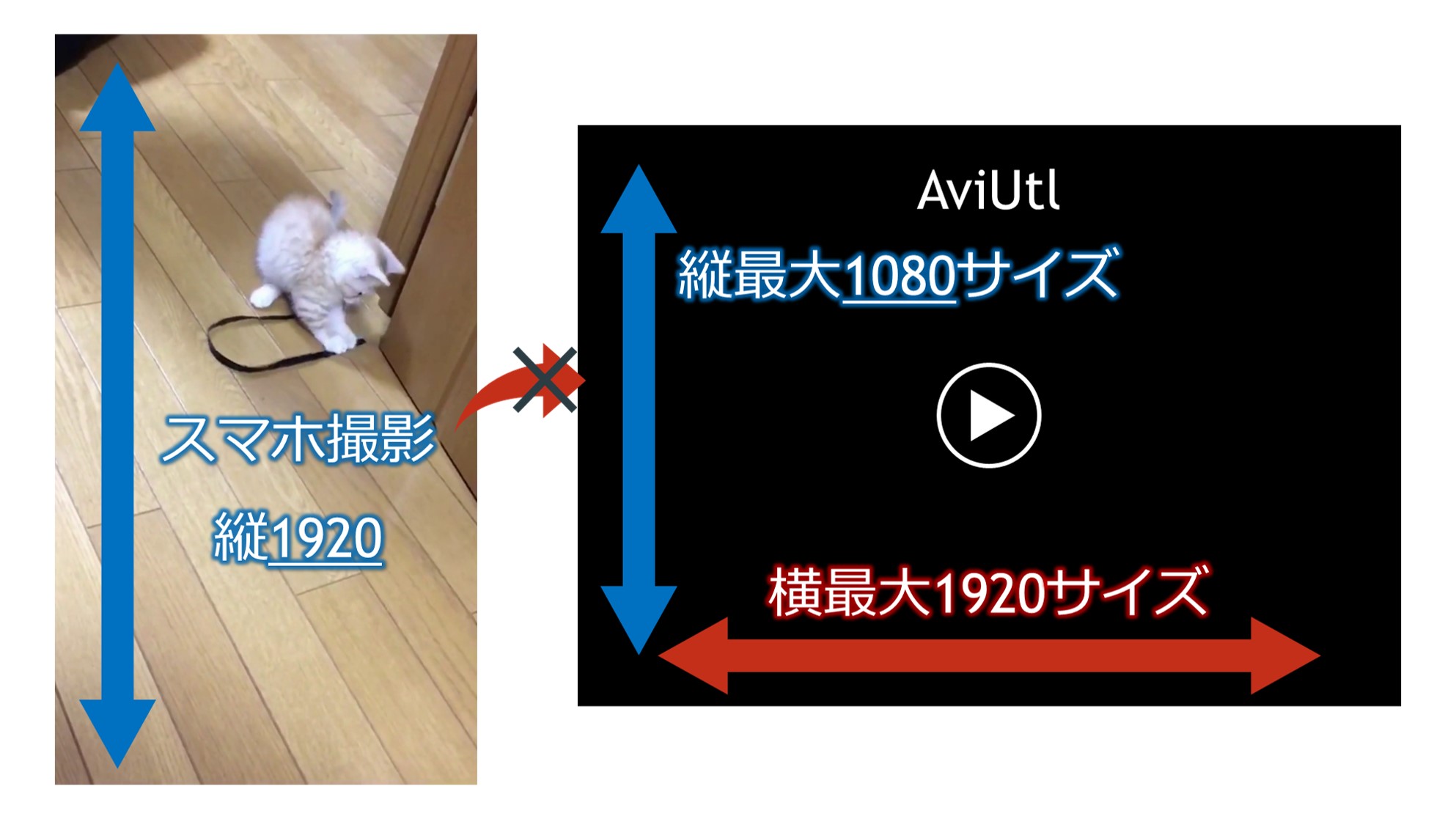 AviUtlでスマホ縦動画を1080×1920で出力する方法  Solabo-あきらめ 